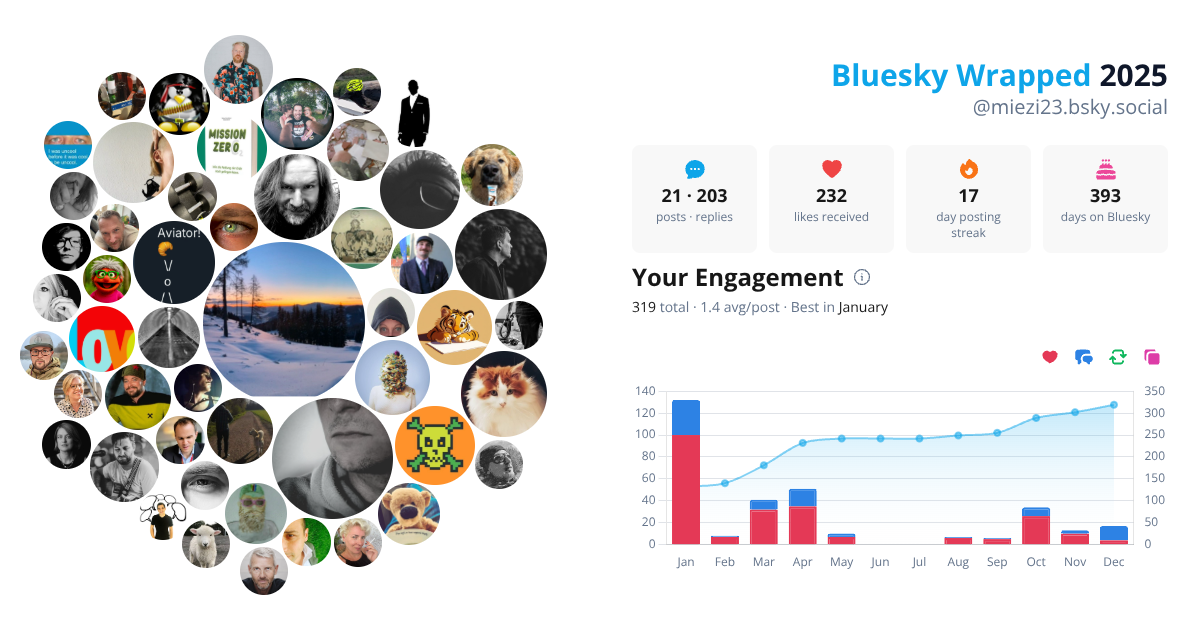 Your Bluesky Wrapped 2025 preview