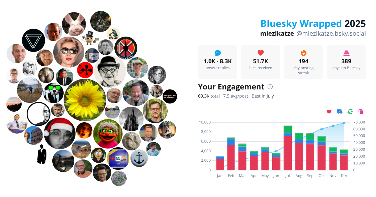 Your Bluesky Wrapped 2025 preview