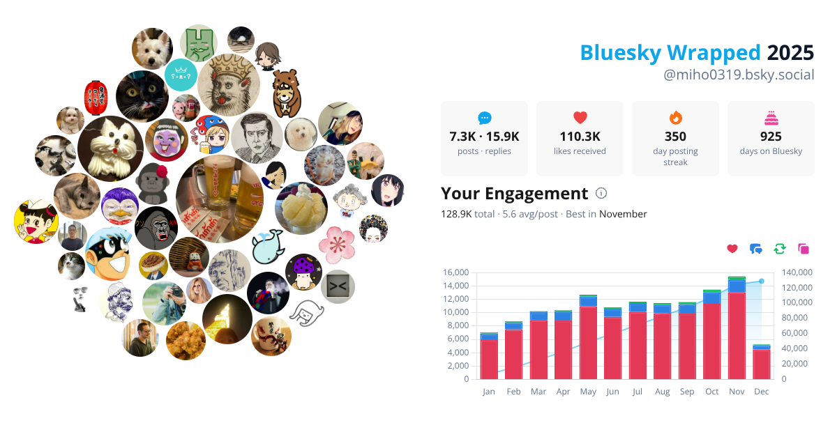 Your Bluesky Wrapped 2025 preview