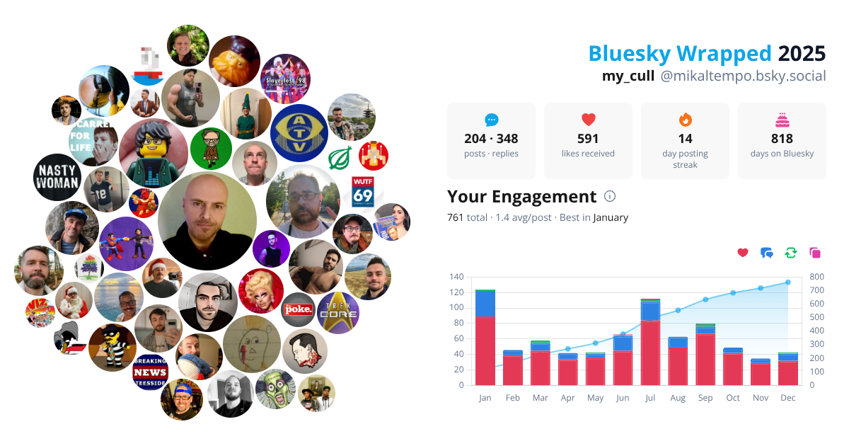 Your Bluesky Wrapped 2025 preview
