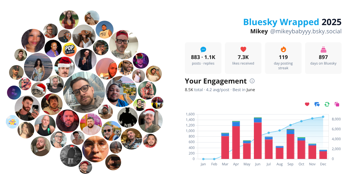 Your Bluesky Wrapped 2025 preview