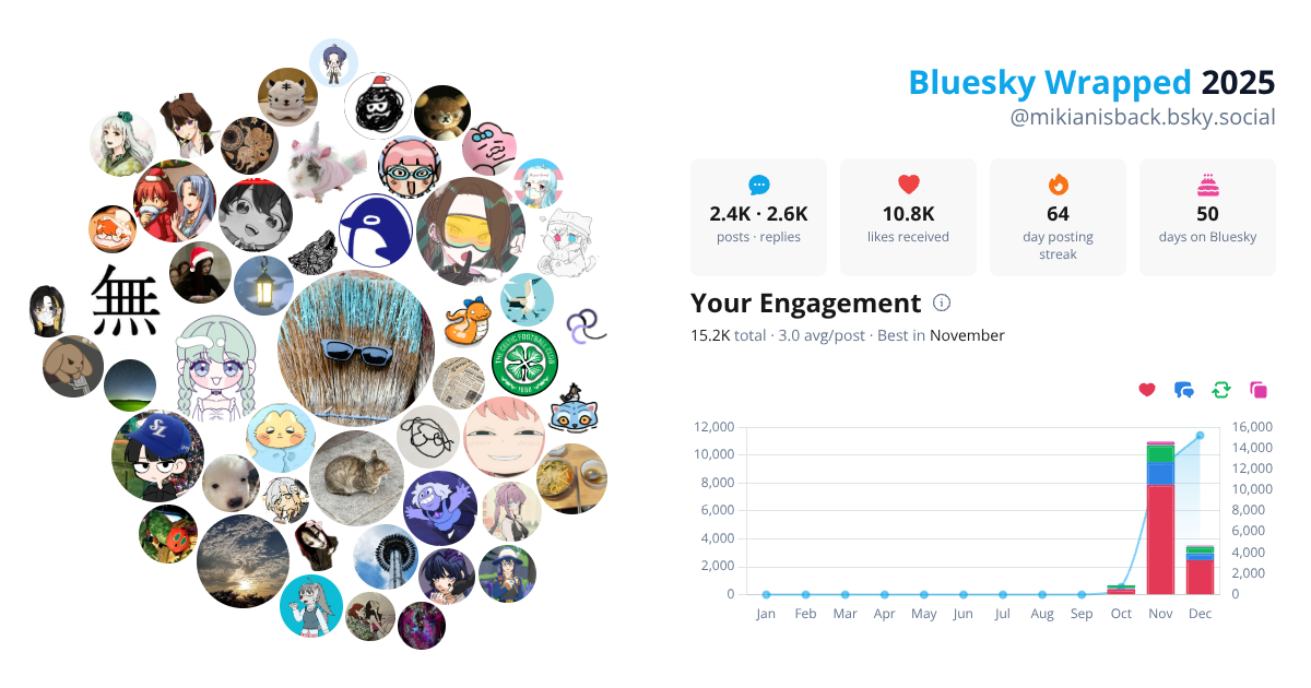 Your Bluesky Wrapped 2025 preview
