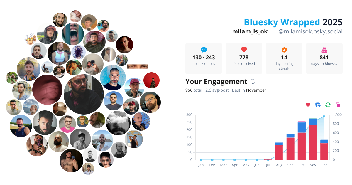 Your Bluesky Wrapped 2025 preview