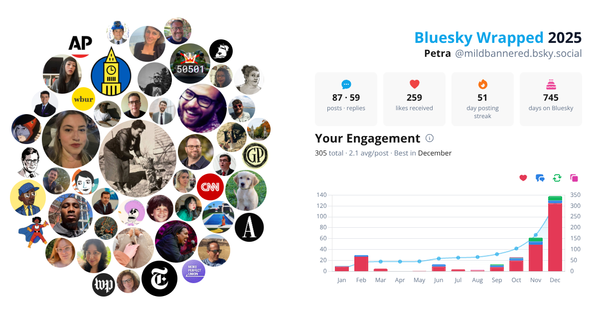 Your Bluesky Wrapped 2025 preview