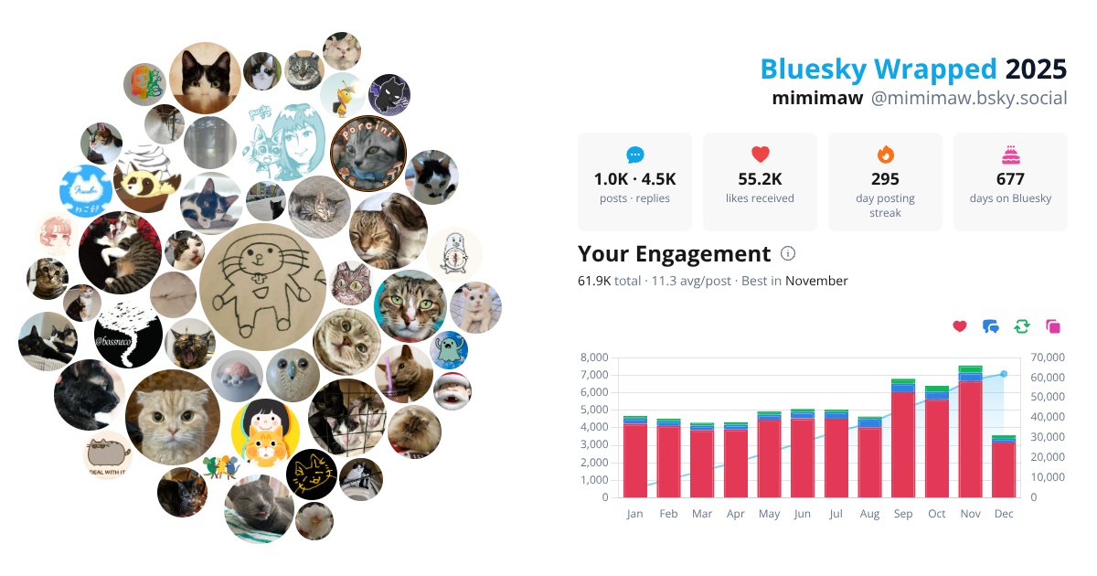 Your Bluesky Wrapped 2025 preview