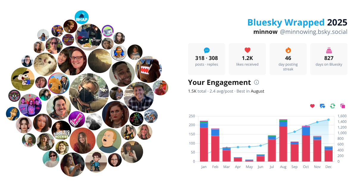 Your Bluesky Wrapped 2025 preview