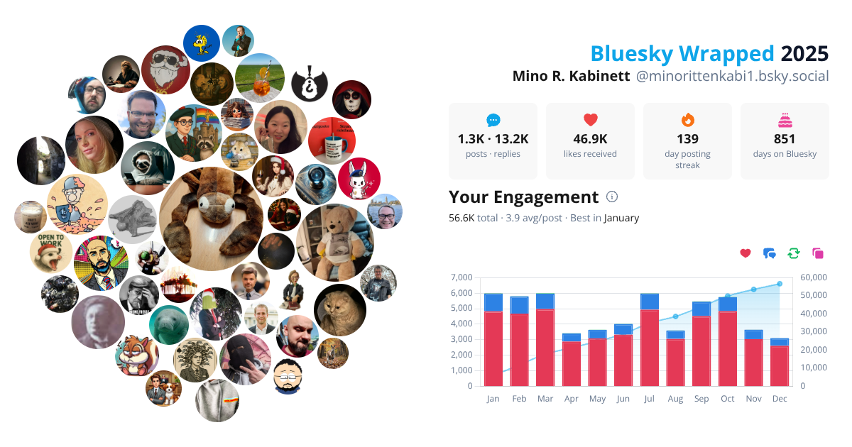 Your Bluesky Wrapped 2025 preview