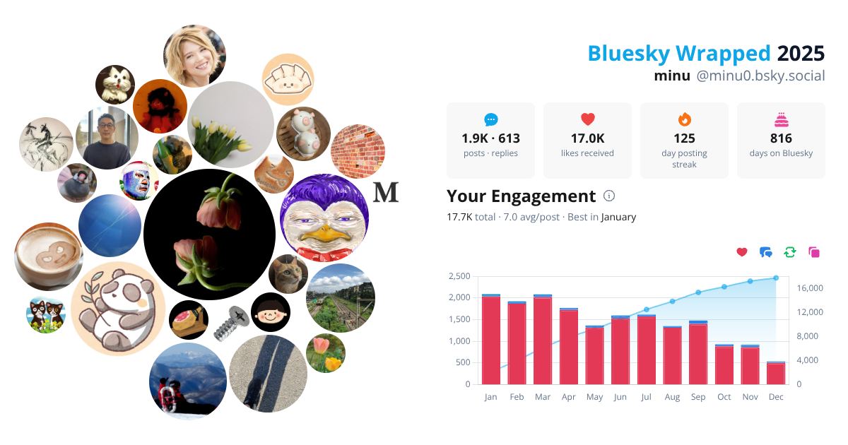 Your Bluesky Wrapped 2025 preview