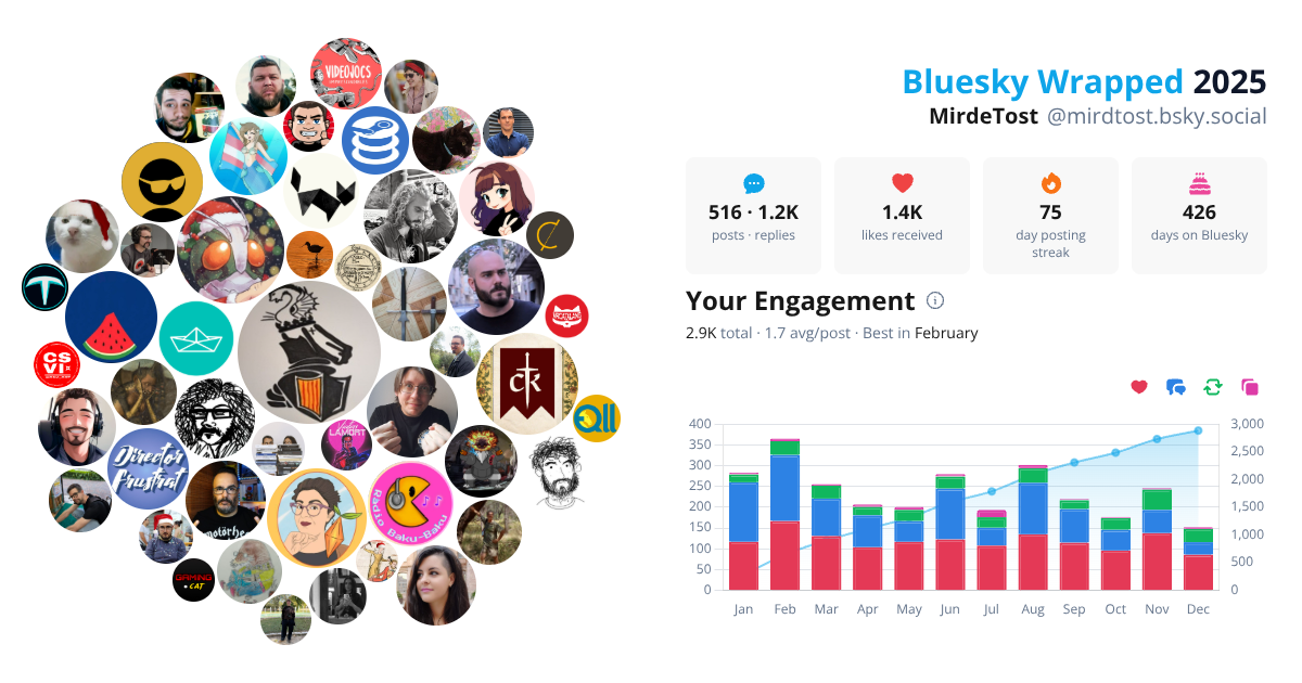 Your Bluesky Wrapped 2025 preview
