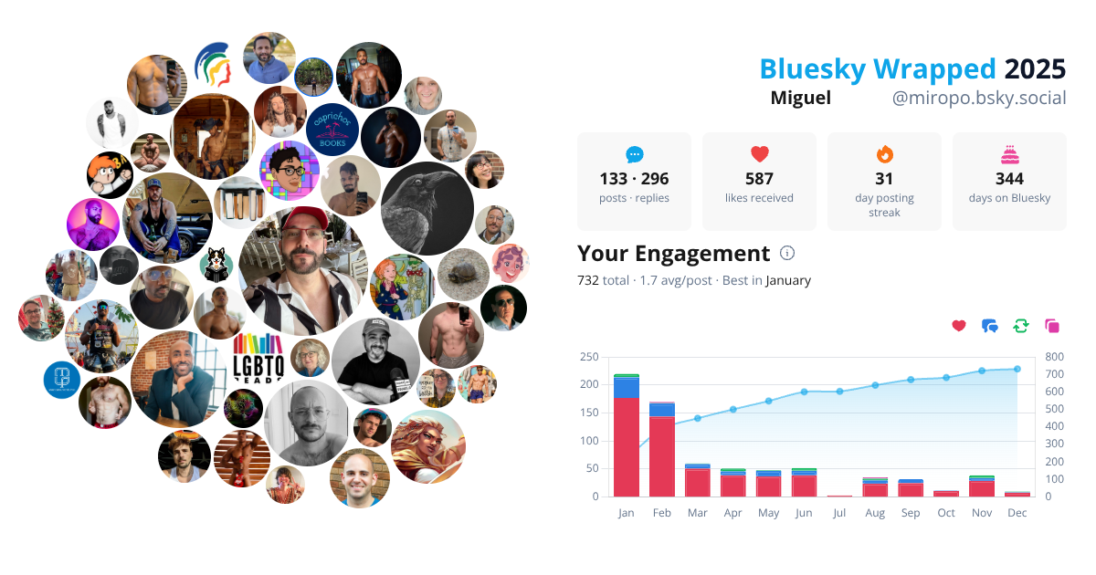 Your Bluesky Wrapped 2025 preview