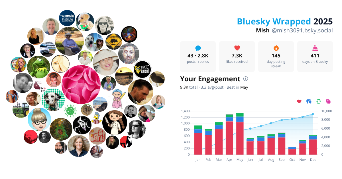 Your Bluesky Wrapped 2025 preview