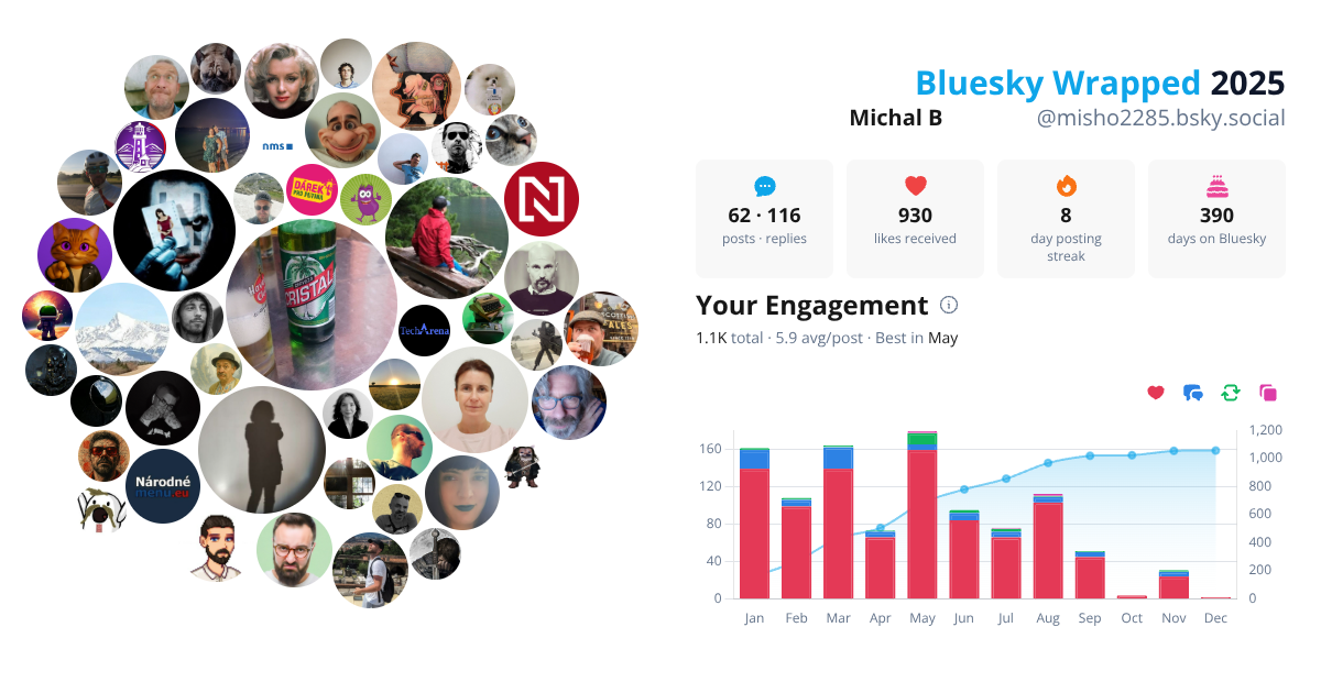 Your Bluesky Wrapped 2025 preview