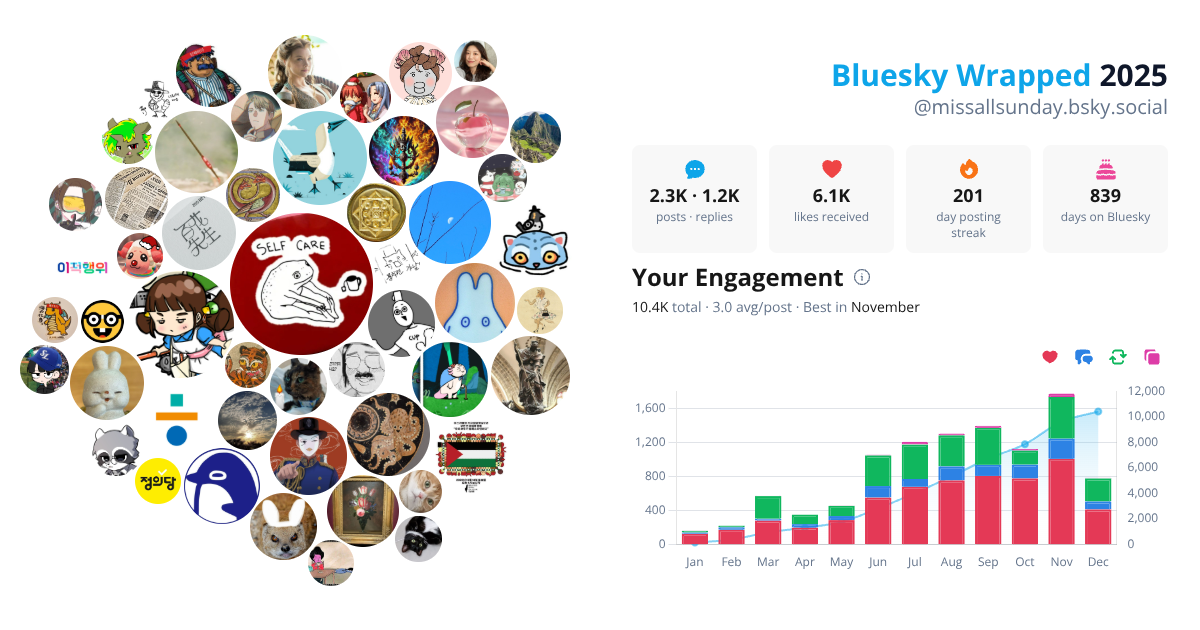 Your Bluesky Wrapped 2025 preview