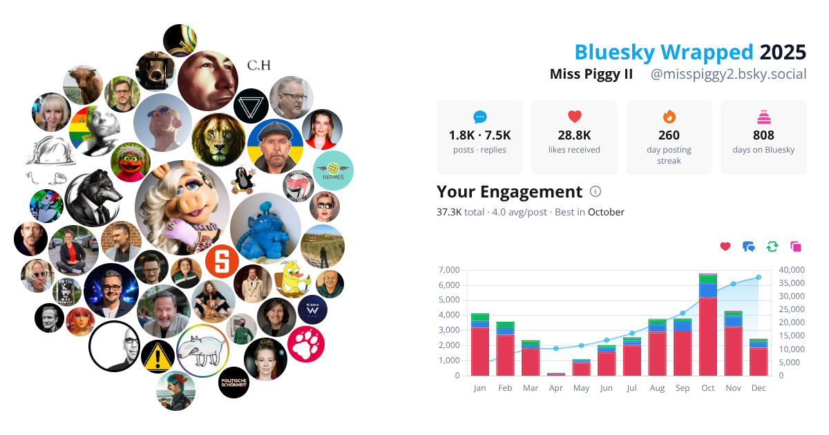 Your Bluesky Wrapped 2025 preview