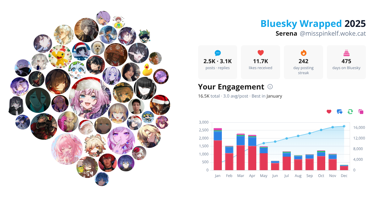 Your Bluesky Wrapped 2025 preview