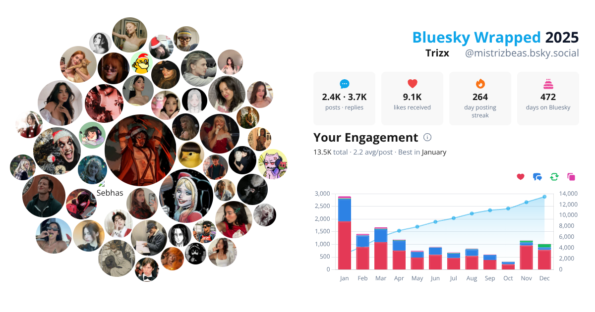 Your Bluesky Wrapped 2025 preview