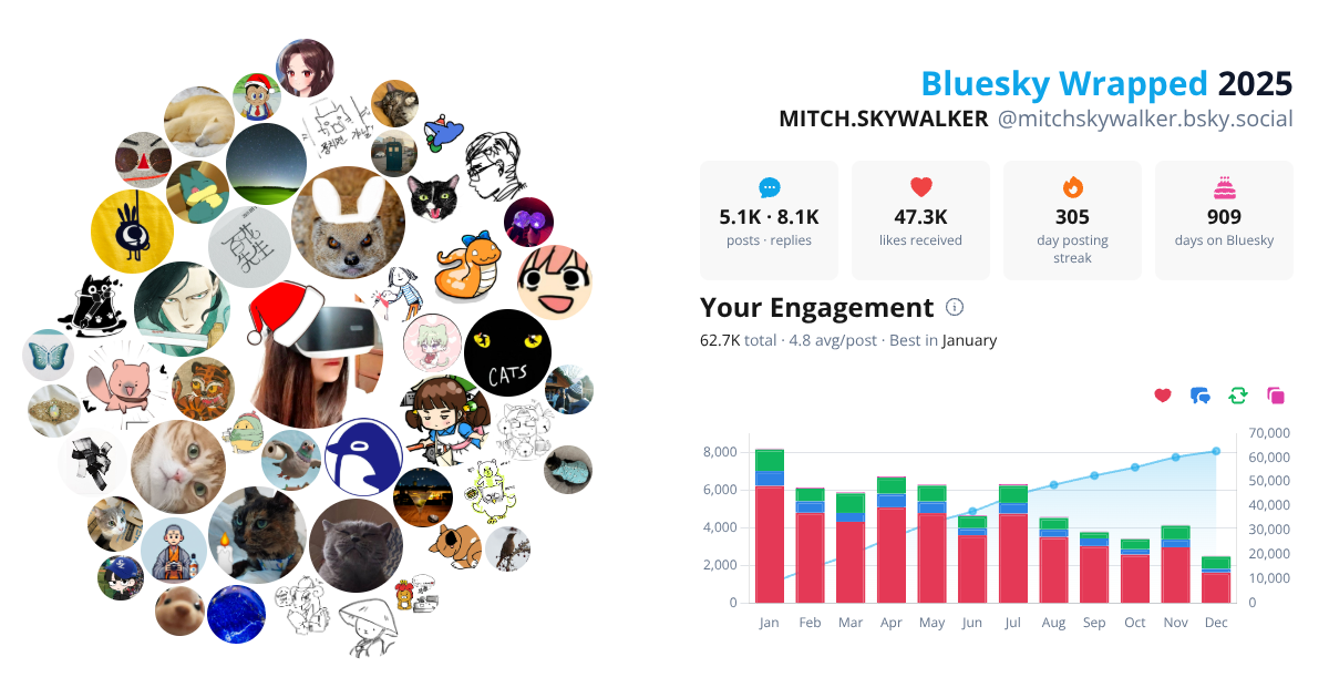 Your Bluesky Wrapped 2025 preview