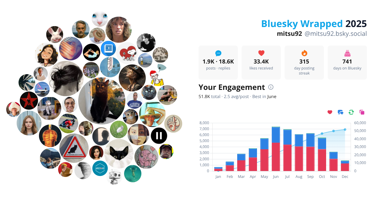 Your Bluesky Wrapped 2025 preview