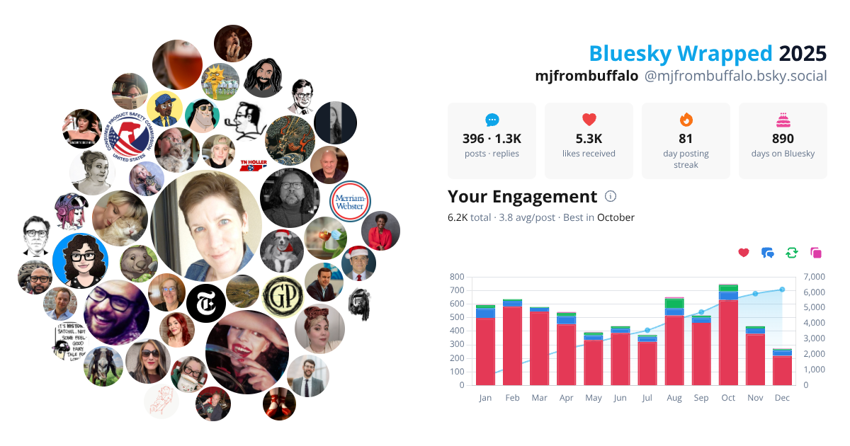 Your Bluesky Wrapped 2025 preview