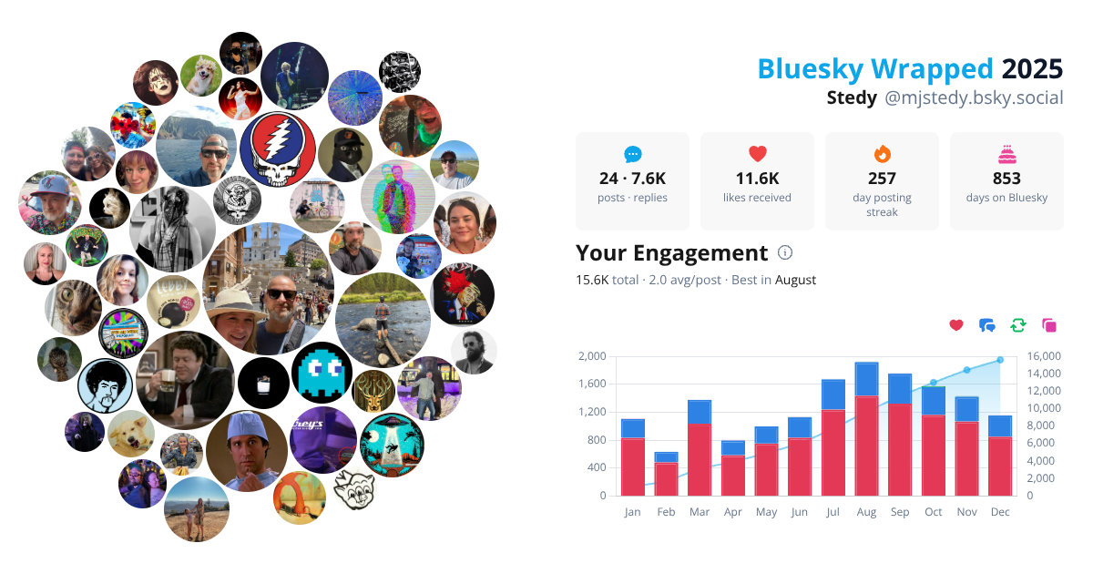 Your Bluesky Wrapped 2025 preview