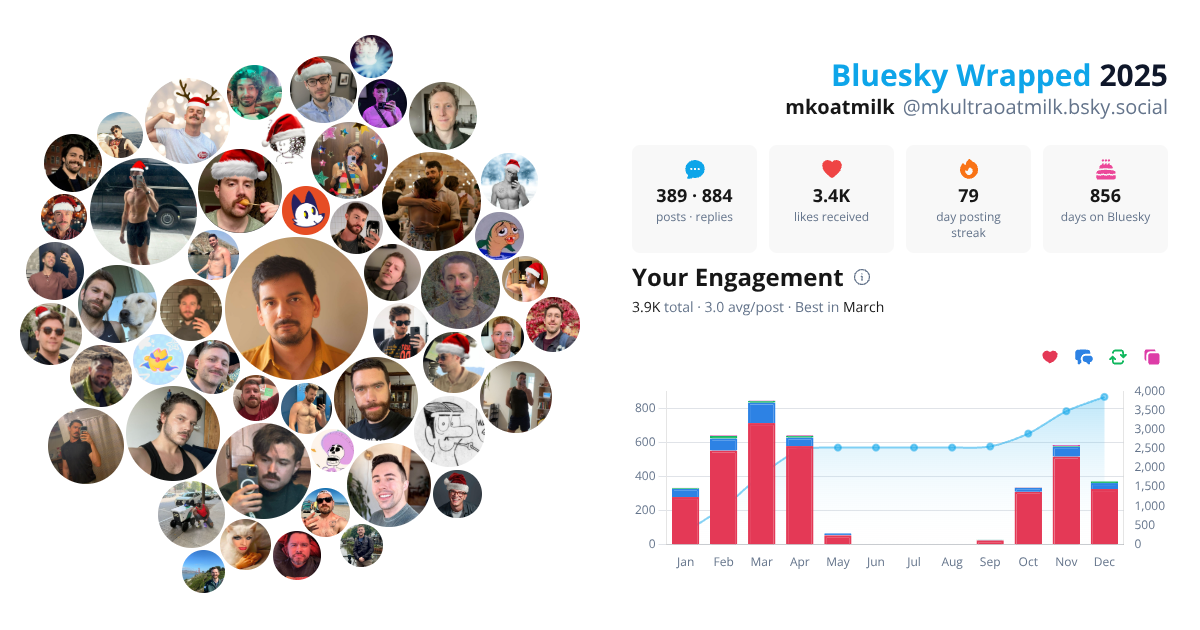 Your Bluesky Wrapped 2025 preview