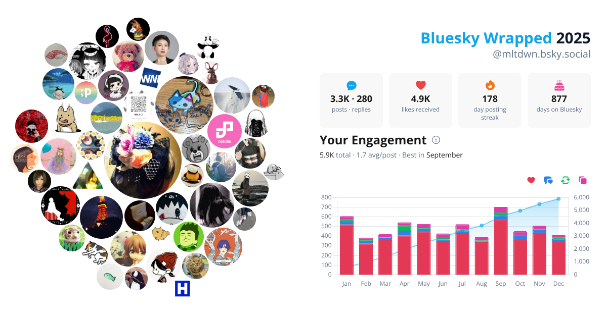 Your Bluesky Wrapped 2025 preview