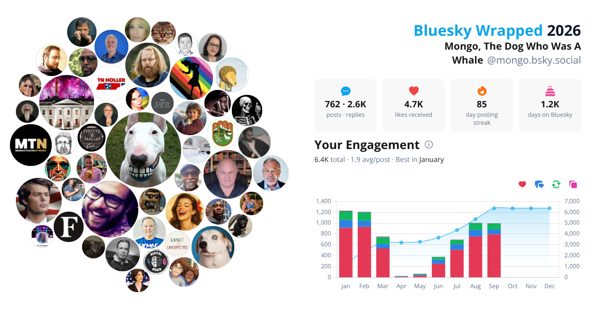 Your Bluesky Wrapped 2026 preview