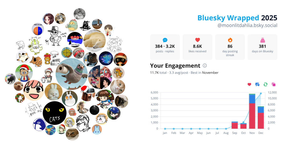 Your Bluesky Wrapped 2025 preview