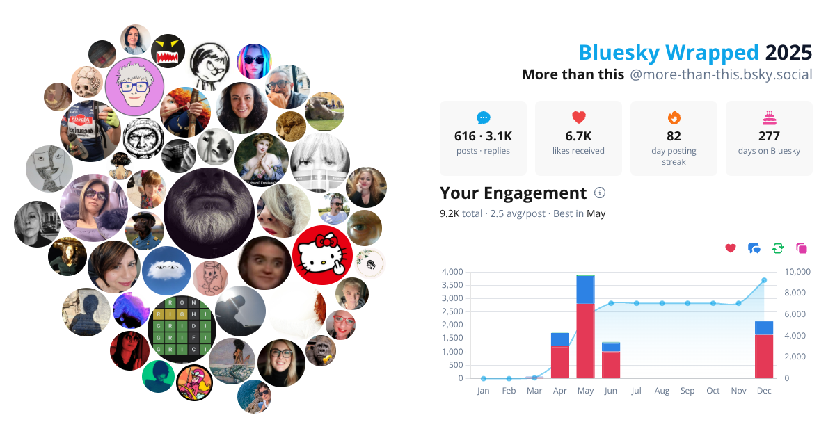 Your Bluesky Wrapped 2025 preview