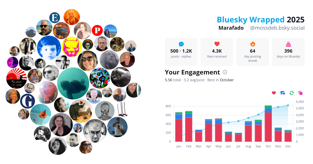 Your Bluesky Wrapped 2025 preview