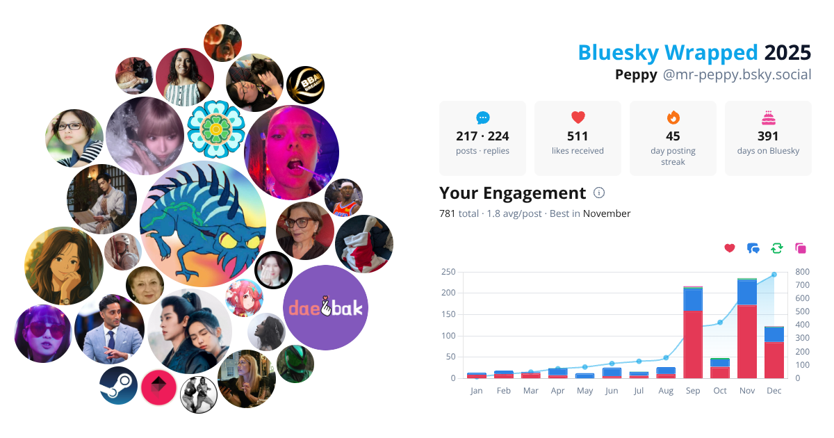 Your Bluesky Wrapped 2025 preview