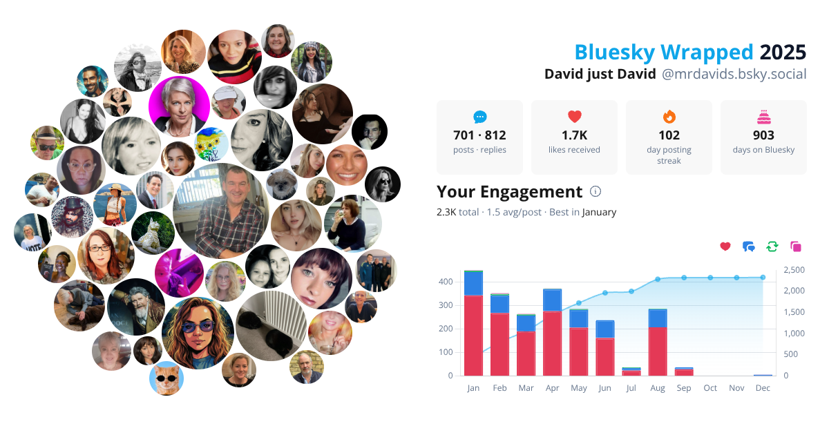 Your Bluesky Wrapped 2025 preview