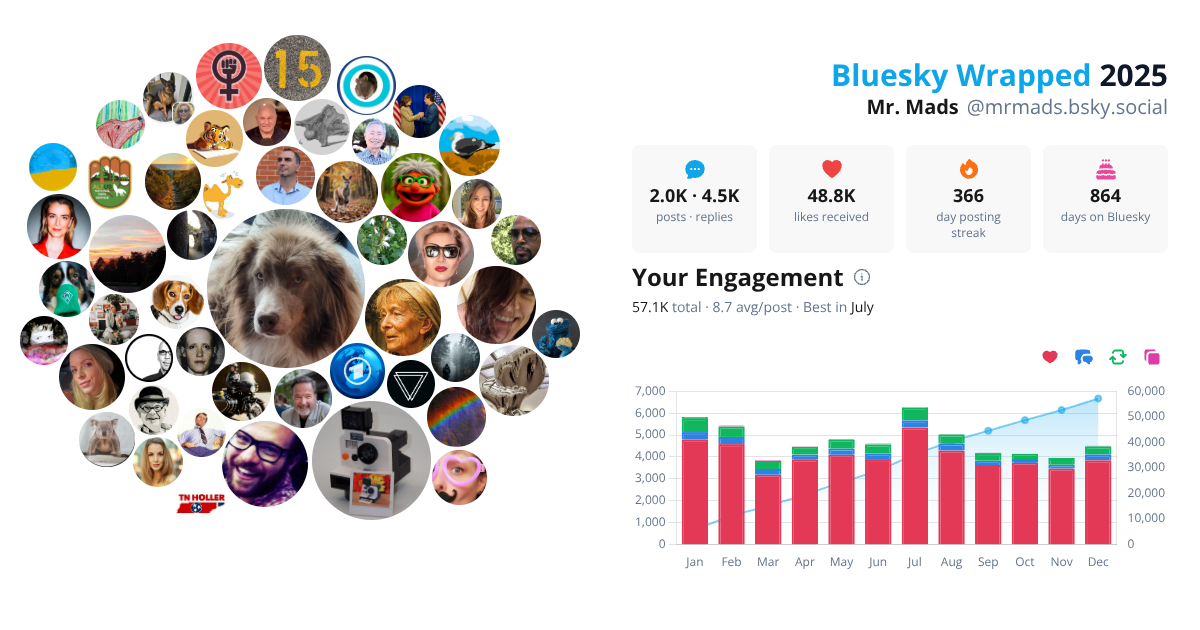 Your Bluesky Wrapped 2025 preview