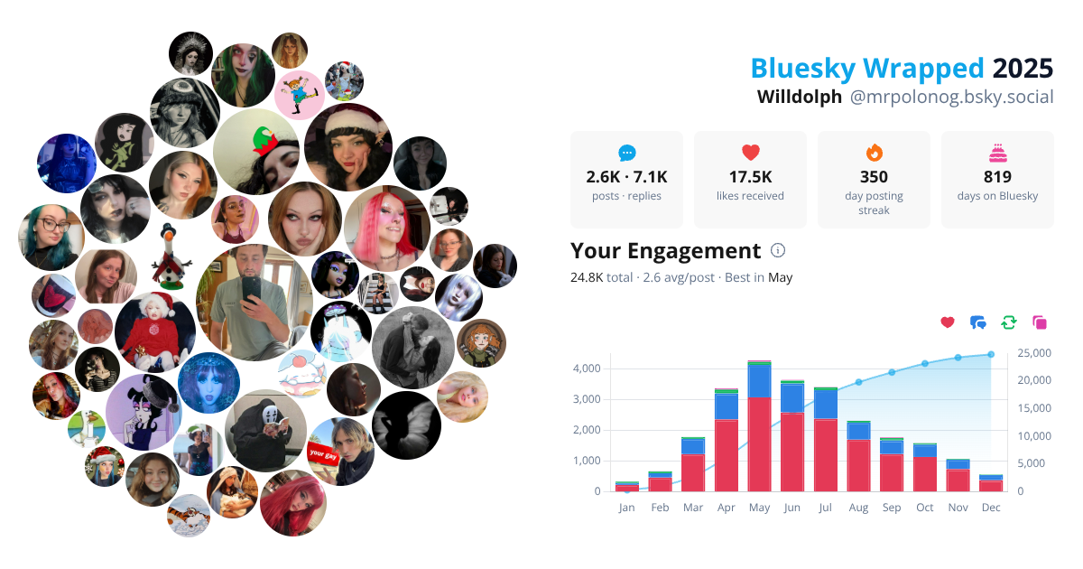 Your Bluesky Wrapped 2025 preview