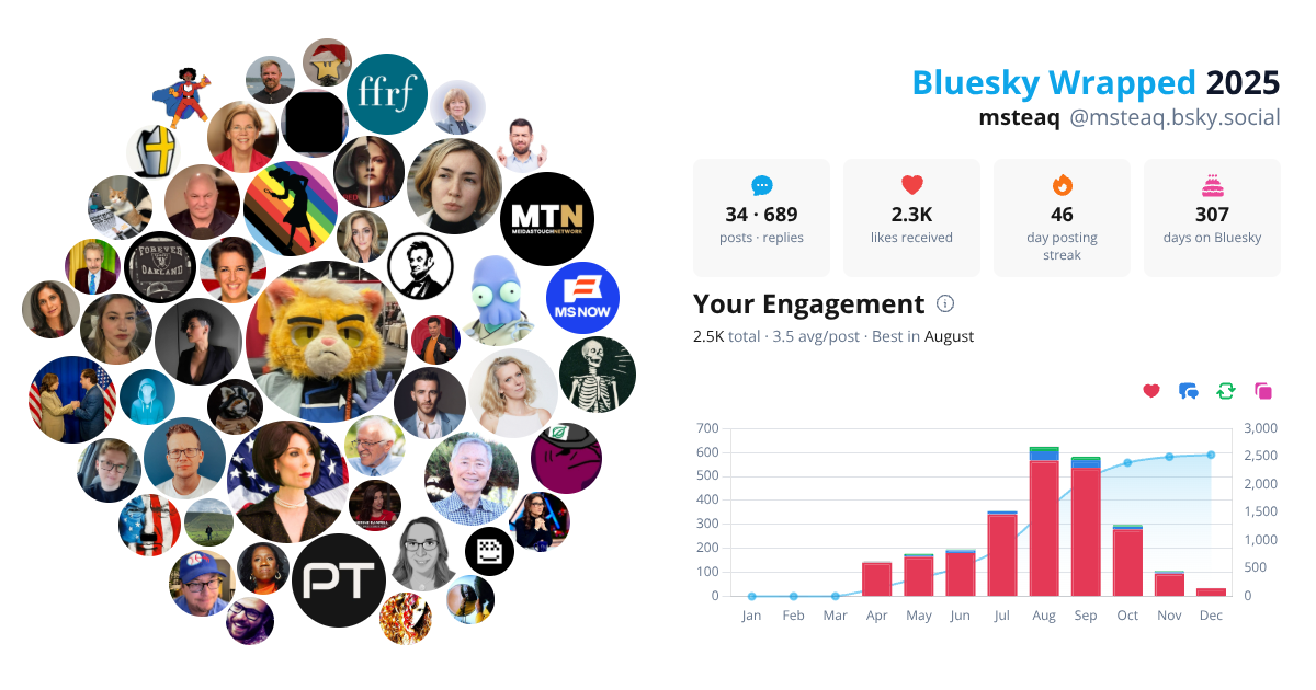 Your Bluesky Wrapped 2025 preview