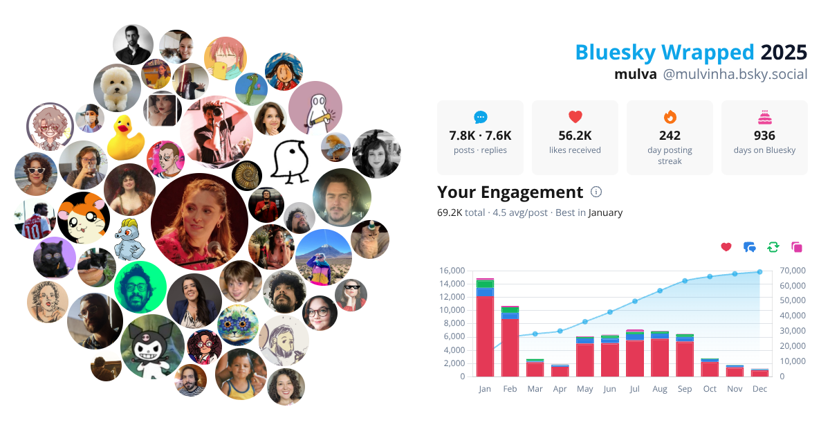 Your Bluesky Wrapped 2025 preview