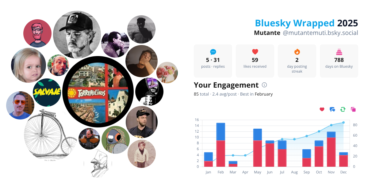 Your Bluesky Wrapped 2025 preview