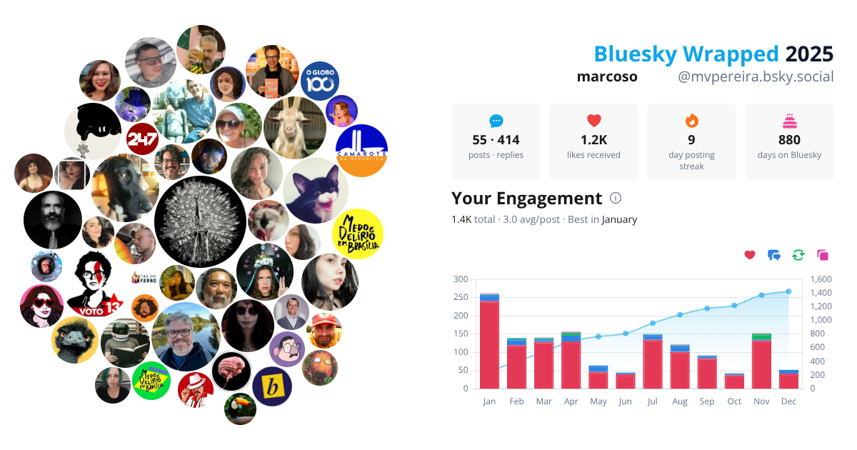 Your Bluesky Wrapped 2025 preview