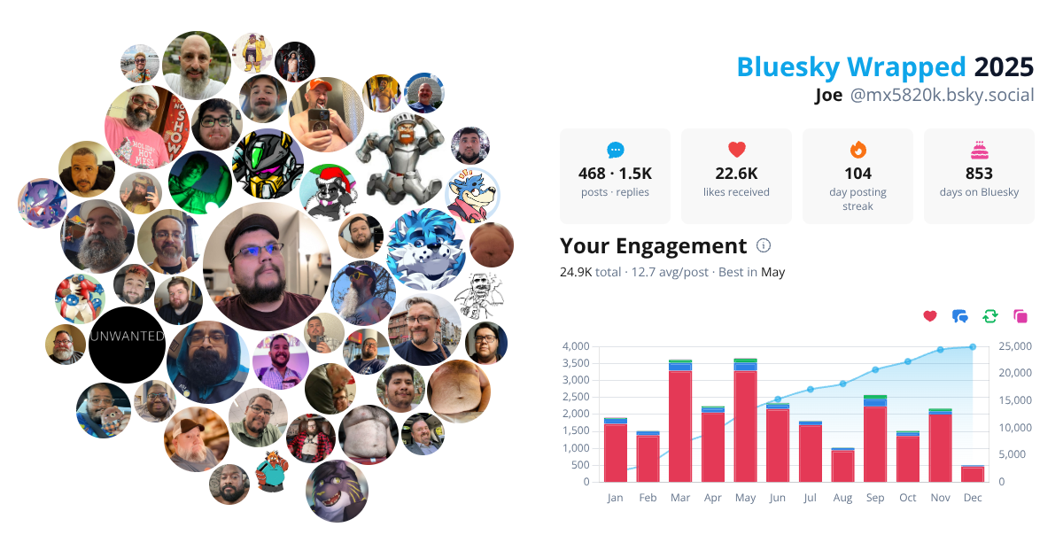 Your Bluesky Wrapped 2025 preview