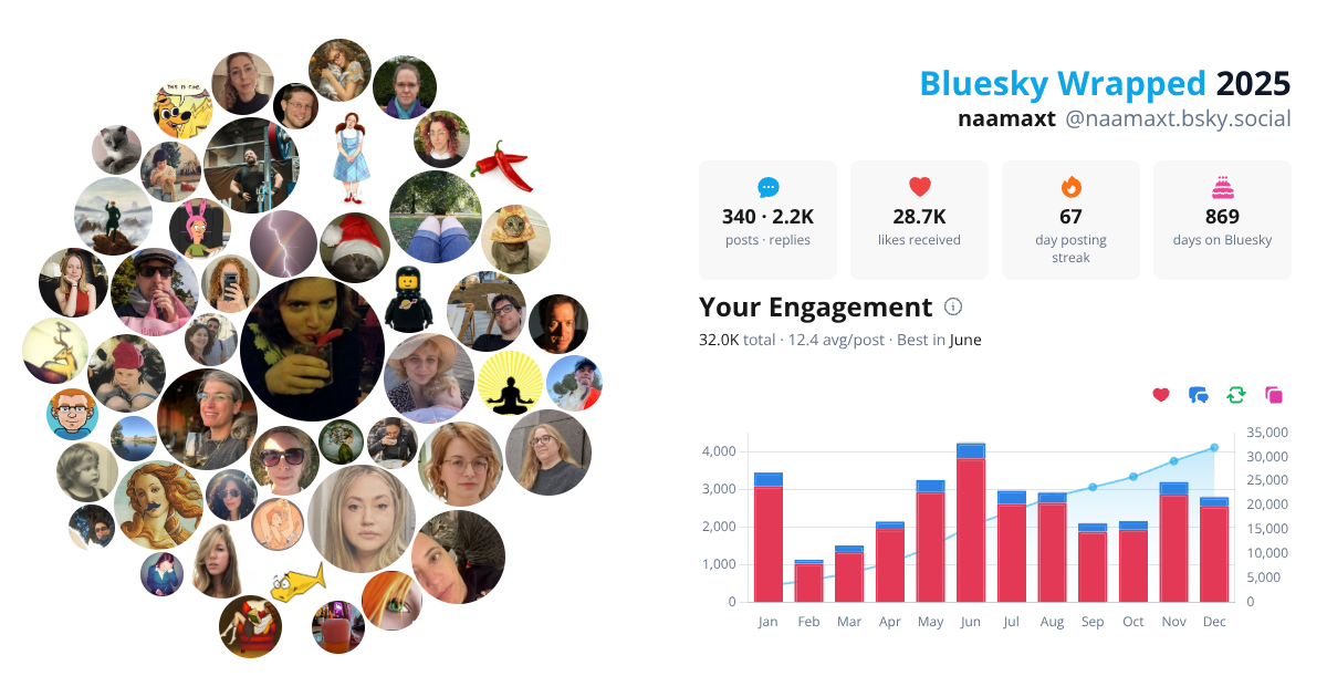 Your Bluesky Wrapped 2025 preview