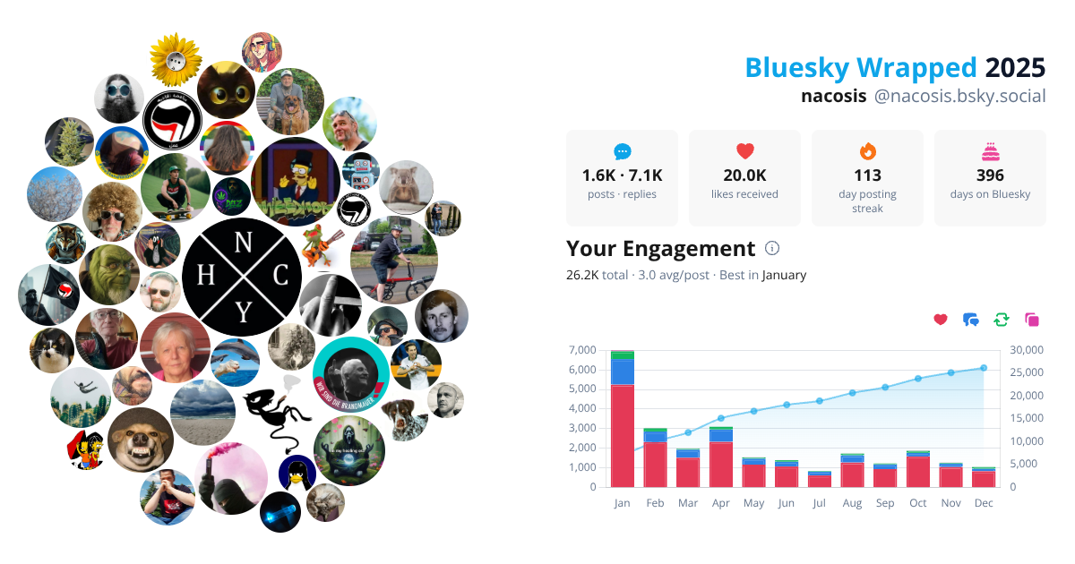 Your Bluesky Wrapped 2025 preview