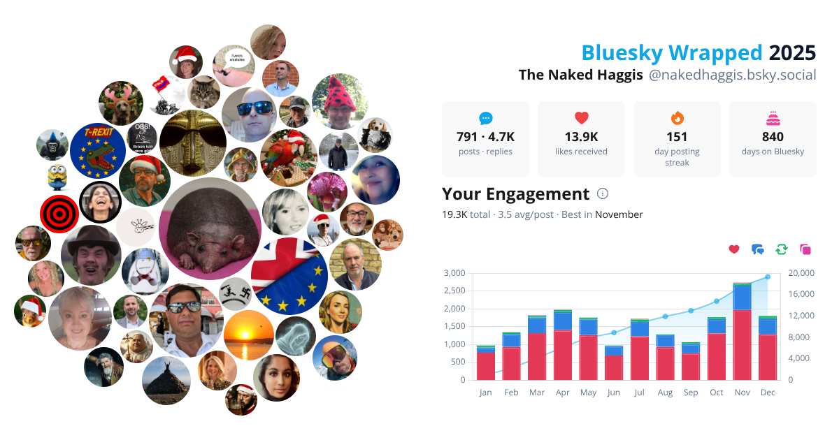 Your Bluesky Wrapped 2025 preview
