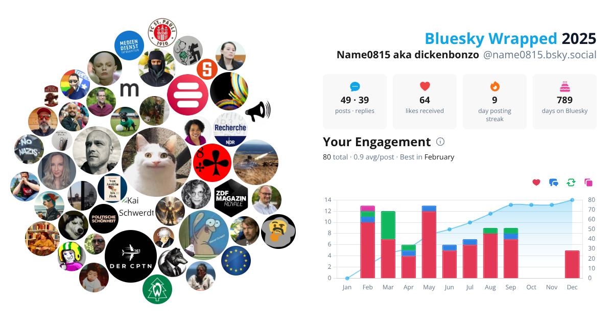 Your Bluesky Wrapped 2025 preview