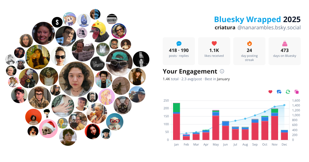 Your Bluesky Wrapped 2025 preview