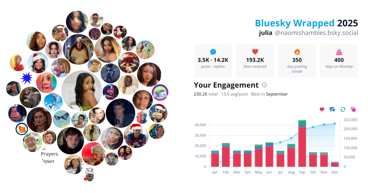 Your Bluesky Wrapped 2025 preview