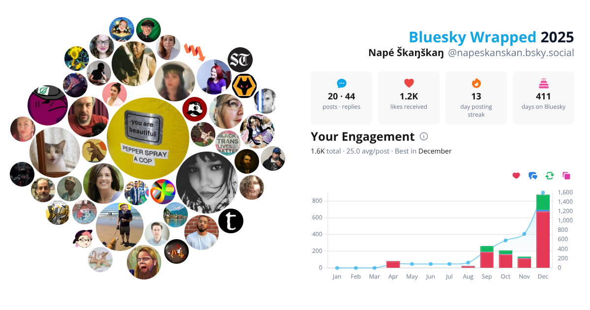 Your Bluesky Wrapped 2025 preview