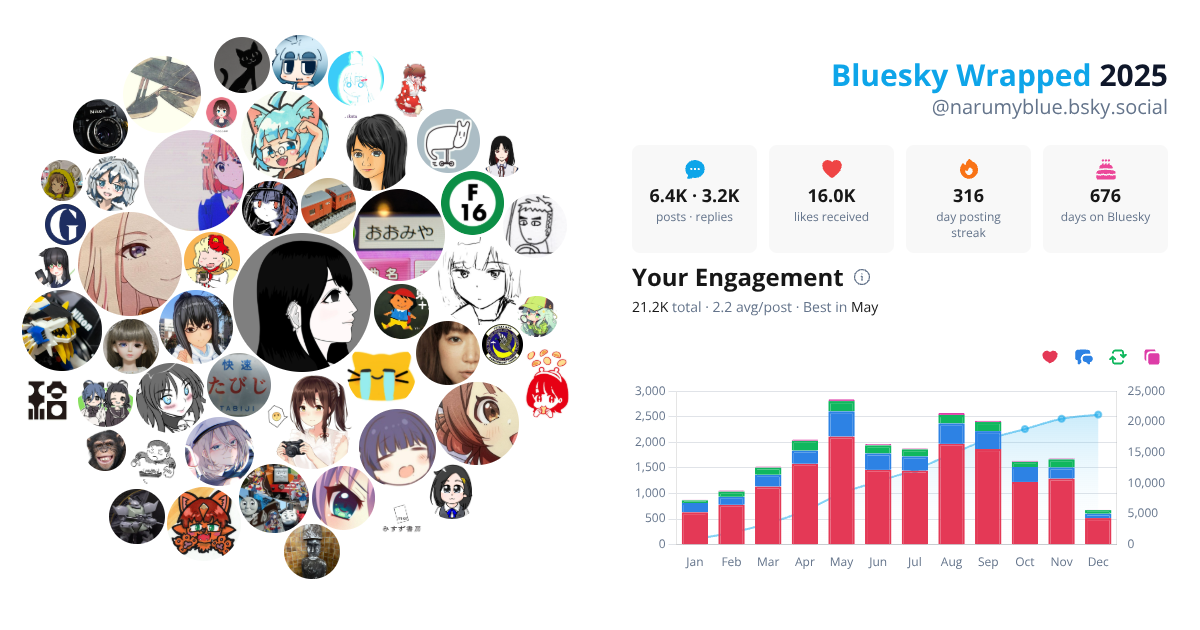 Your Bluesky Wrapped 2025 preview