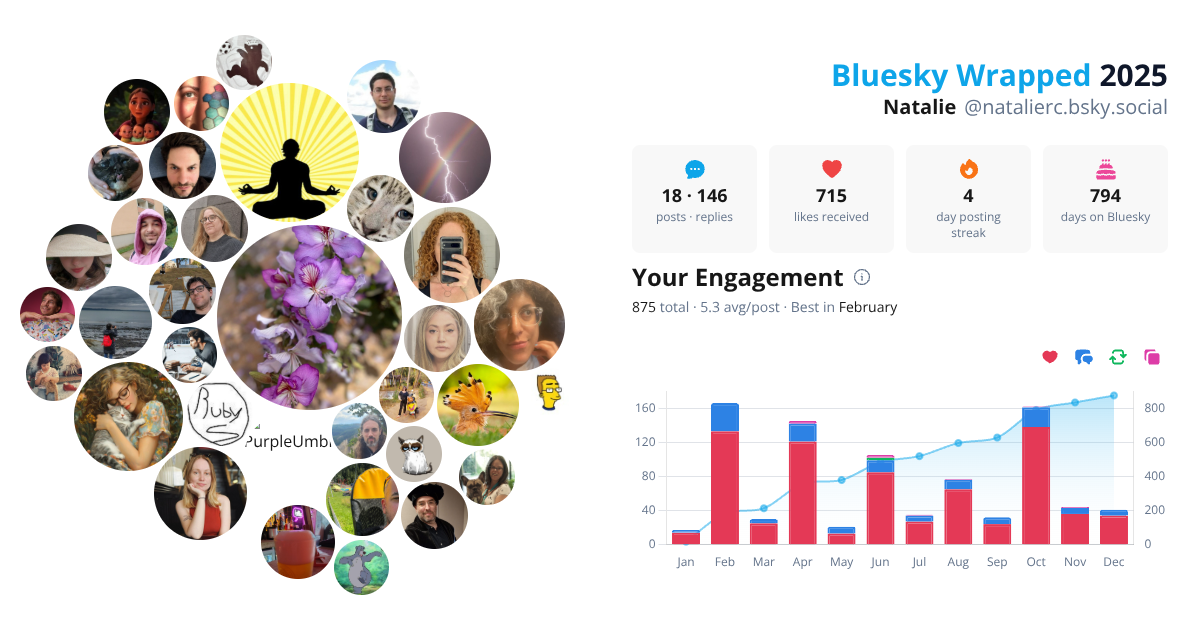 Your Bluesky Wrapped 2025 preview