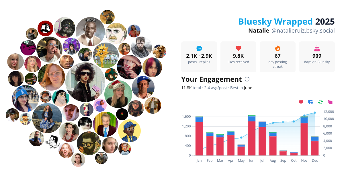 Your Bluesky Wrapped 2025 preview