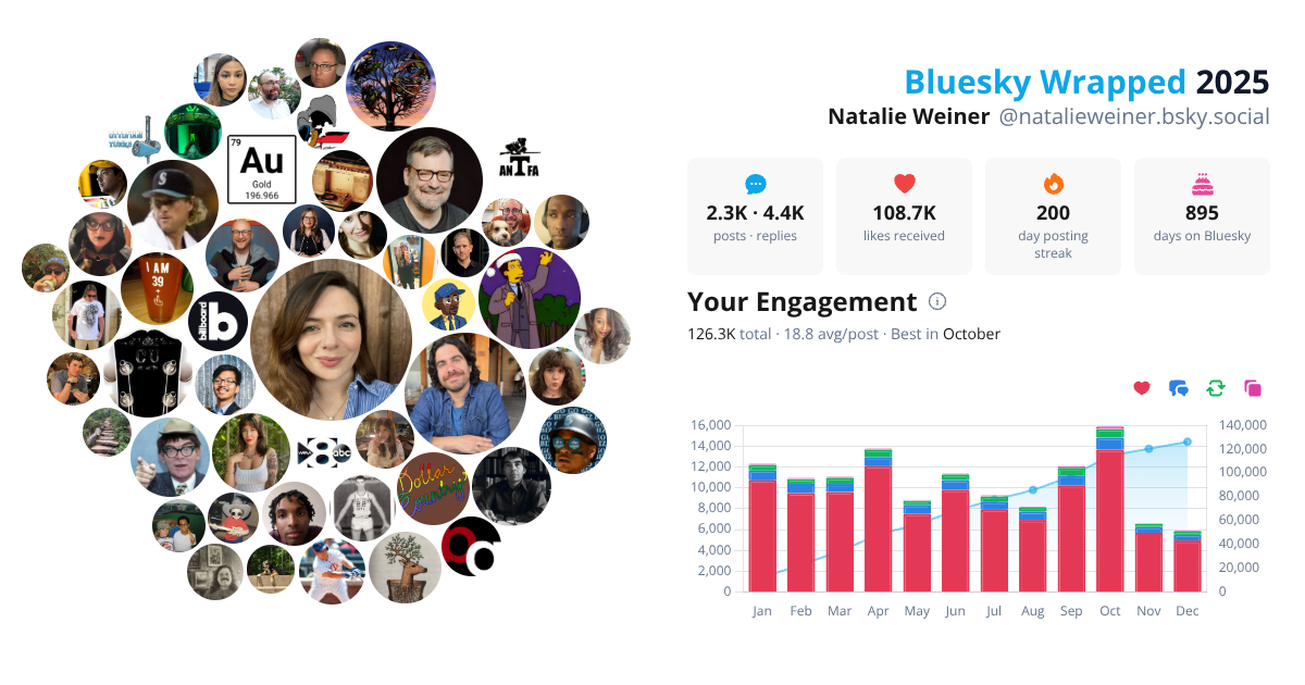 Your Bluesky Wrapped 2025 preview